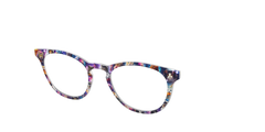The Galactic Kittens