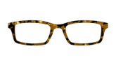 The Tiger's Eye Pearl Tortoise