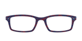 The Capitals® Ice