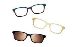 Tortoise Acetate Gold Metal - Set