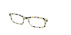 The Delicate Daisies