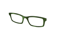 The Olive Shimmer