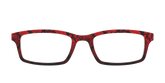 The Statement Snakeskin
