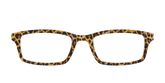 The Cheetah Spots