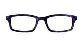 The Black Holographic Check