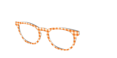 The Carrot Gingham
