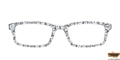 The Guardians of the Galaxy