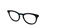 The Black Holographic Twister