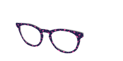 The Navy Flamingos