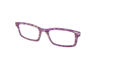 The Venus Pearl Conch