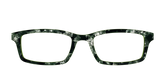 The Olive Pearl Tortoise