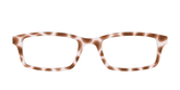 The Caffé Tortoise