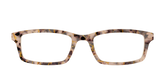 The Almond Tortoise with Gold Streaks