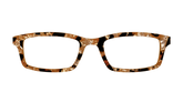 The Caramel Pearl Tortoise
