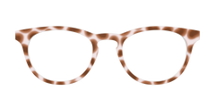 The Caffé Tortoise