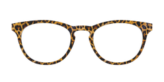 The Cheetah Spots
