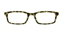 The Olive Tortoise
