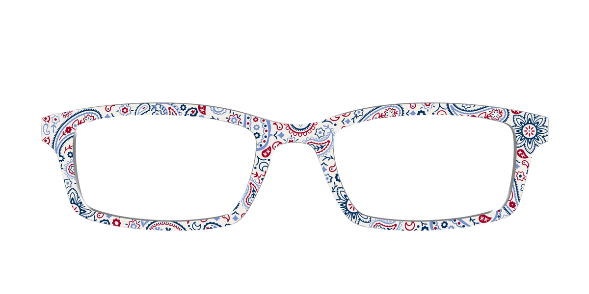 The Picnic Paisley