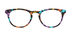 The Summer Tortoise