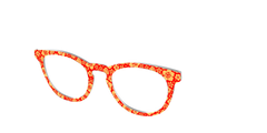 The Tropical Floral