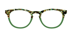 The Forest Tortoise Crystal Split