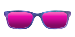 The Polarized Galaxy Sun Top