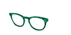 The Emerald Pearl Tortoise