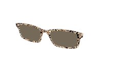 The Polarized Wild Cat Sun Top