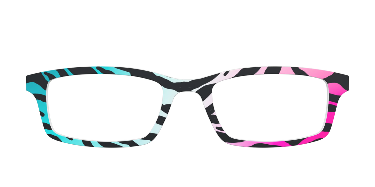 The Rainbow Zebra