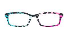 The Rainbow Zebra