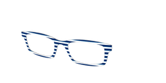 The Navy Stripes