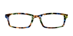 The Hearthside Tortoise