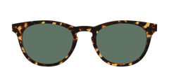 The Non-Polarized Green Tortoise Sun Top