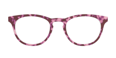 The Maroon Tortoise