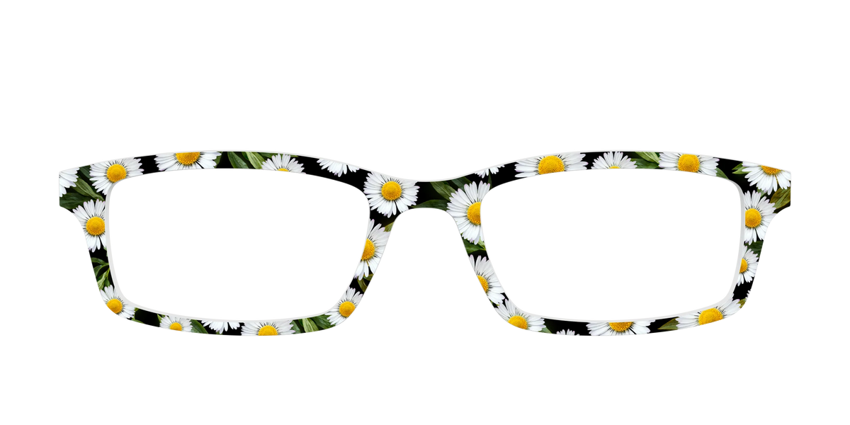 The Delicate Daisies