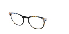 The Graveyard Ravens