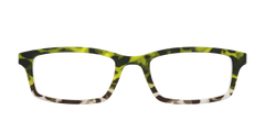 The Avocado to Ivory Tortoise