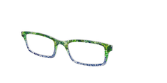The Ginger Jar Plants