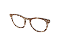 The Sandstone Tortoise