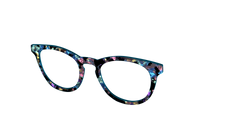The Black Prismatic Pearl Tortoise