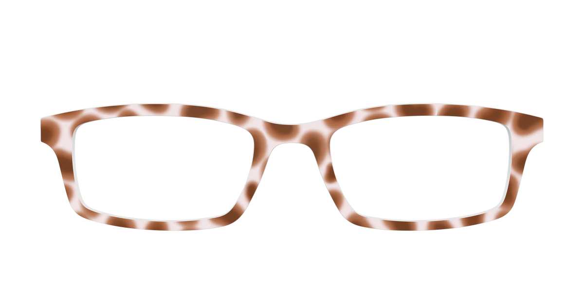 The Caffé Tortoise