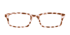 The Caffé Tortoise