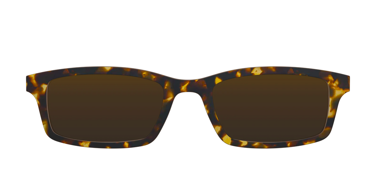 The Polarized Tortoise Sun Top